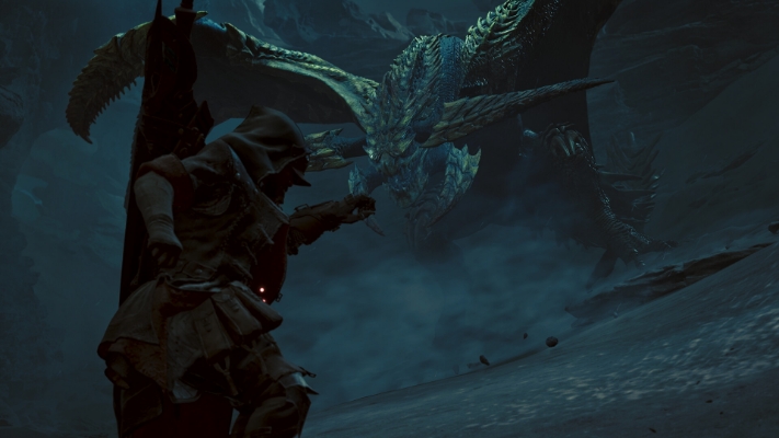  Afbeelding van Monster Hunter Wilds