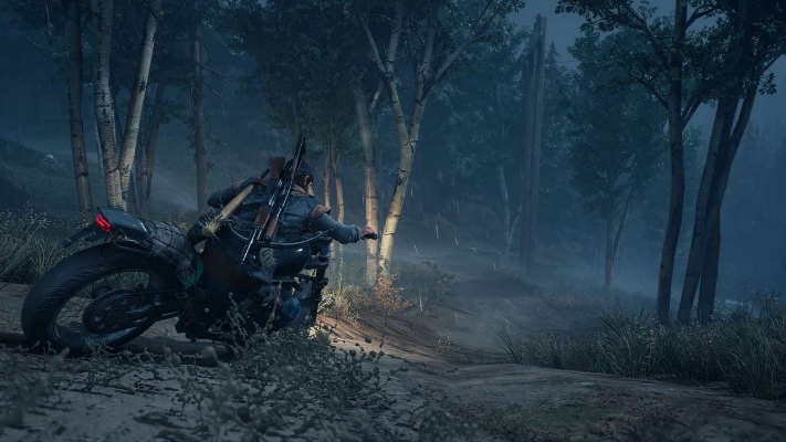Bild von Days Gone