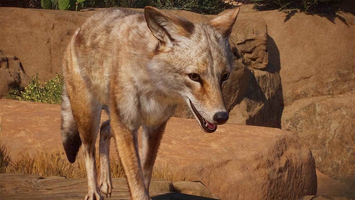  Immagine di Planet Zoo: Americas Animal Pack (DLC)