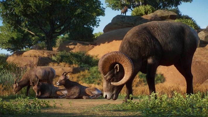  Immagine di Planet Zoo: Americas Animal Pack (DLC)
