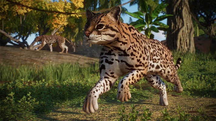  Immagine di Planet Zoo: Americas Animal Pack (DLC)