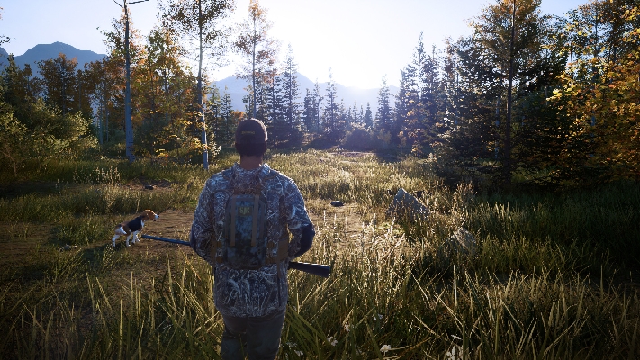  Afbeelding van Hunting Simulator 2
