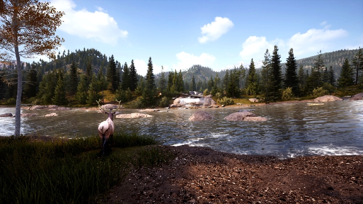  Afbeelding van Hunting Simulator 2
