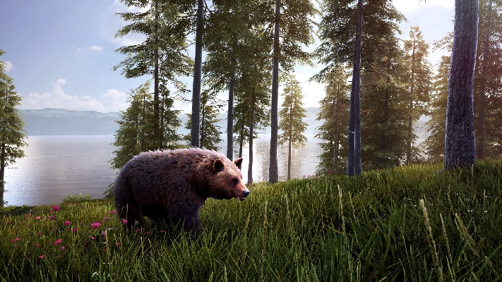  Afbeelding van Hunting Simulator 2 Bear Hunter Pack