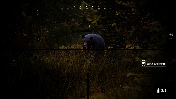  Afbeelding van Hunting Simulator 2 Bear Hunter Pack