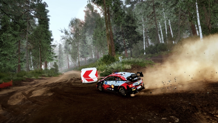 Picture of WRC 10 FIA World Rally Championship
