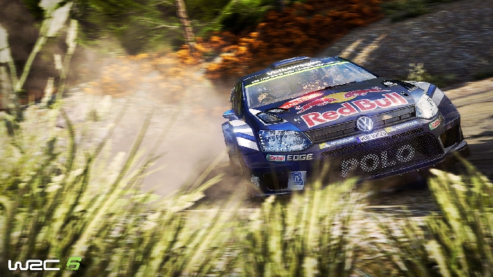  Afbeelding van WRC 6 FIA World Rally Championship