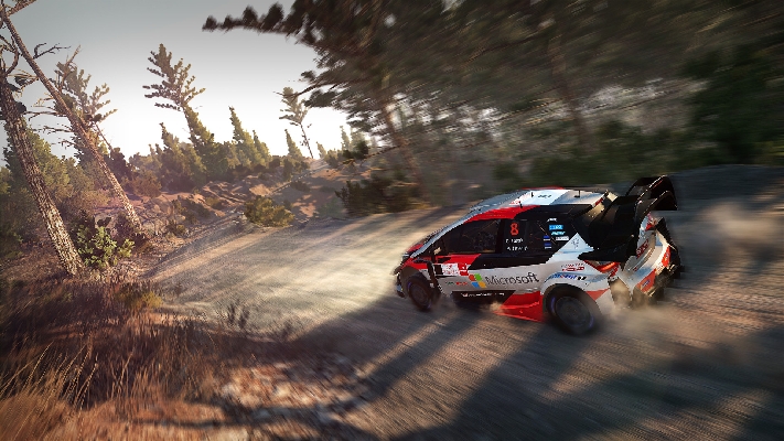  Afbeelding van WRC 8 FIA World Rally Championship