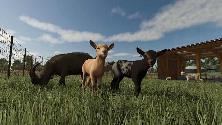  Obraz Farming Simulator 25