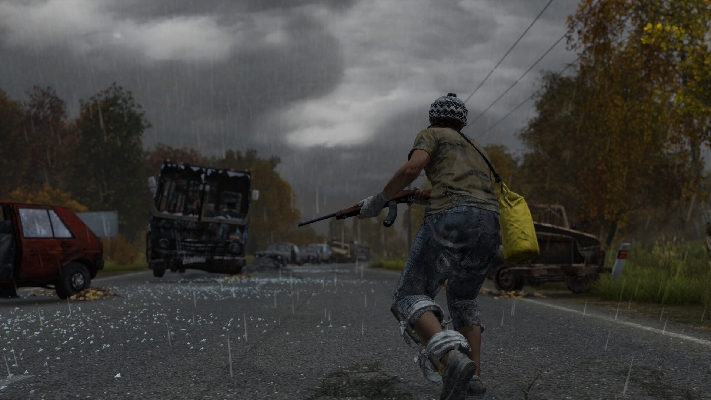 Image de DayZ