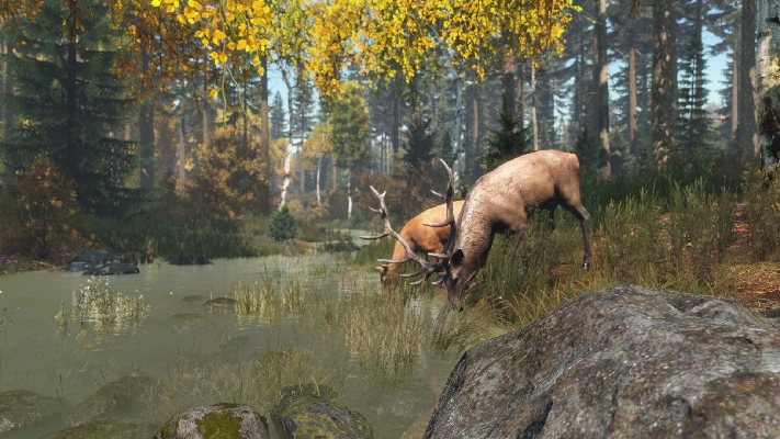 Image de DayZ