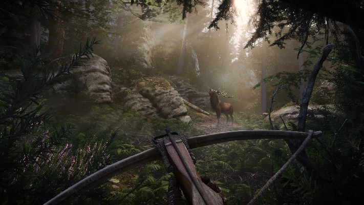 صورة Kingdom Come: Deliverance II