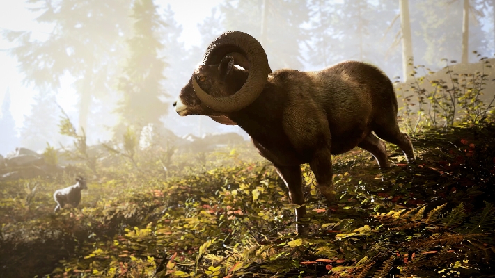 Bild von Hunting Simulator 3 - Deluxe Edition