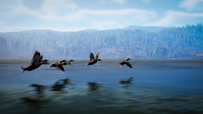 Bild von Hunting Simulator 3