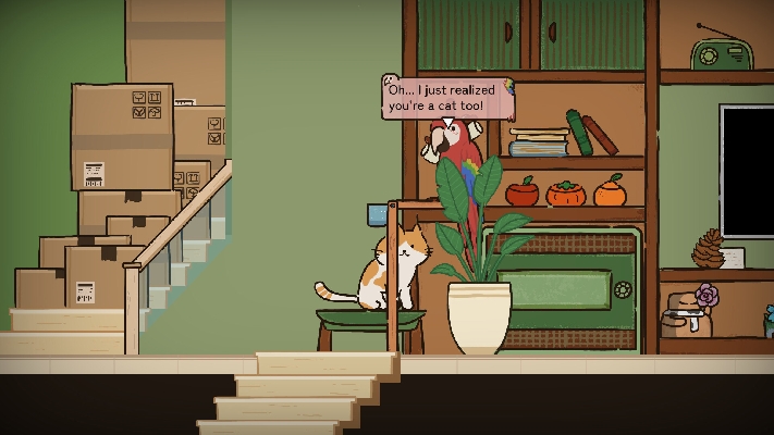 Resim Cat at Home